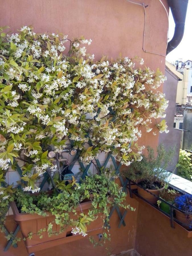 Ca' San Silvestro 2 terrazze nel cuore di Venezia Esterno foto